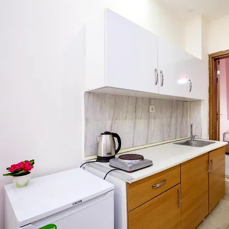 5 Kisilik Huzurlu Stuedyo Daire イスタンブール